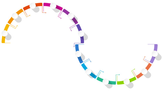 Infographic 12 steps, process. png