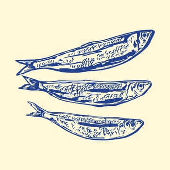 Blue Sardines Set Collection vector