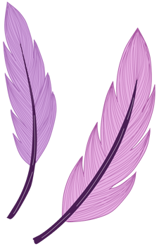Two purple feathers flowing wings png