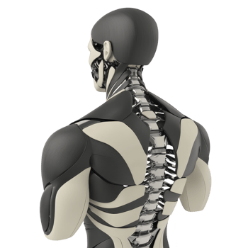 futuristic humanoid robot with visible mechanical spine and sleek design, showcasing advanced technology and innovation. robot structure is both functional and aesthetically striking png