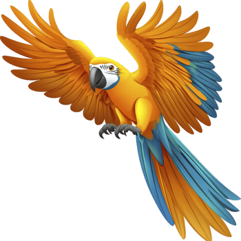 A vibrant parrot with orange and blue feathers spreads its wings flight, showcasing its colorful plumage and dynamic movement. bird expressive eyes and detailed feathers add to its lively appearance png