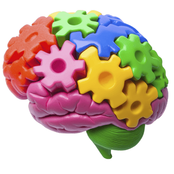 colorful brain model with interlocking gears symbolizes creativity and innovation. vibrant gears represent different cognitive processes working together harmoniously png