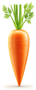 Fresh, vibrant carrot with green leaves. png