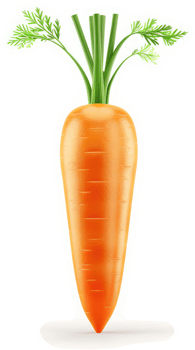 Fresh, vibrant orange carrot with green leaves. png