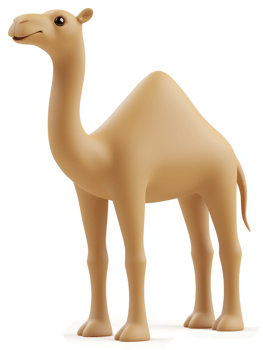Cartoon camel illustration against a plain background. png
