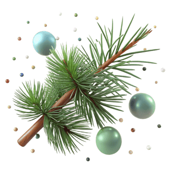 beautiful traditional Pine Tree Branch Needles Isolated Element genuine png