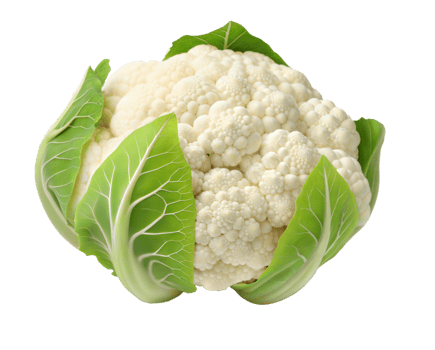 Healthy Raw Cauliflower Displayed with Fresh Green Leaves on Clean Background png