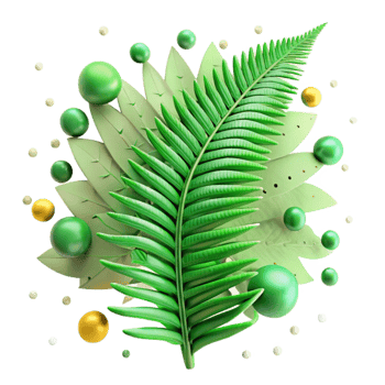 vibrant vintage Green Fern Frond Closeup Isolated premium png