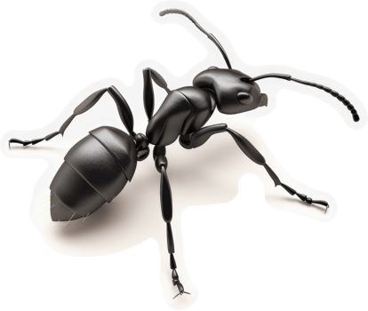 Close-up of a glossy black ant. png