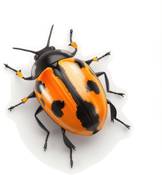 Vibrant orange and black beetle displayed against a white background. png