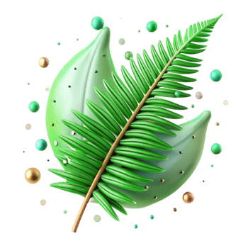 dramatic artistic Green Fern Frond Closeup Isolated exclusive png