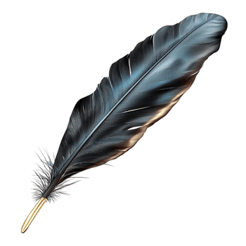 Black Feather Quill Soft Texture and Elegant Design, A Vintage Writing Tool That Brings Classic Flair and a Touch of Luxury to the of Writing, Perfect for Historical or Gothic Decor, png