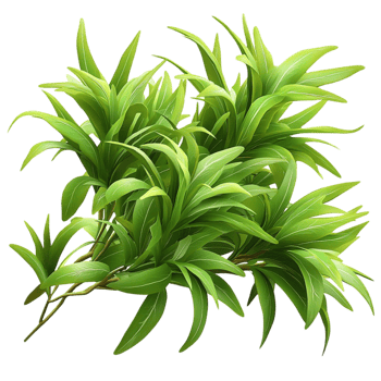 Green Potted Plant Vibrant Foliage and Natural Texture, Featuring Whimsical Design and Botanical Charm, Perfect for Bringing Freshness, Life, and Natural Beauty to Any Room or Living Space, png