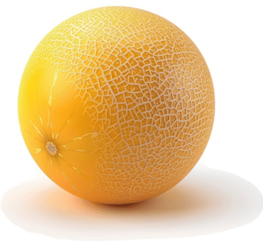 Close-up view of a ripe cantaloupe. png