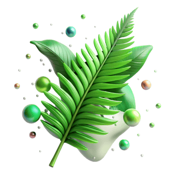 dramatic modern Green Fern Frond Closeup Isolated professional png