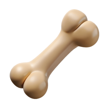 3d Dog Bone Icon , Anatomical Ivory Smooth Model png
