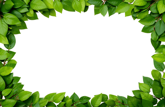 Green leaves frame with a natural vibrant look and transparent center for organic text insertion or designs png