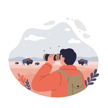 Wildlife observer watching bison herd in natural grassland landscape with binoculars illustration vector