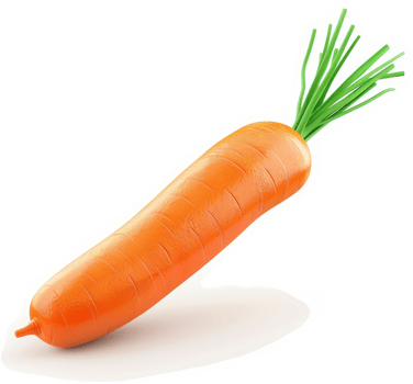 Fresh, vibrant orange carrot with green top. png