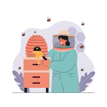Female beekeeper harvesting golden honey from beehive with flying bees in protective suit illustration vector