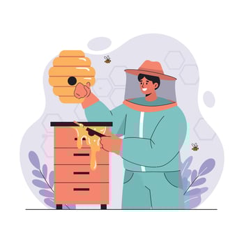Beekeeper harvesting honey from beehive wearing protective suit and hat illustration vector