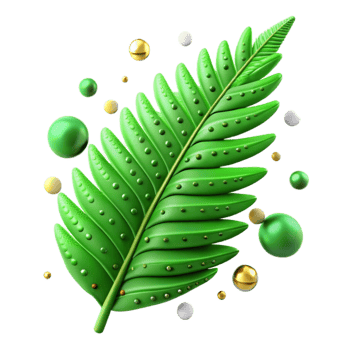 serene artistic Green Fern Leaf Detailed Texture Transparent premium png