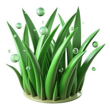 impressive modern Green Grass Blades Dew Drops Transparent Background genuine png
