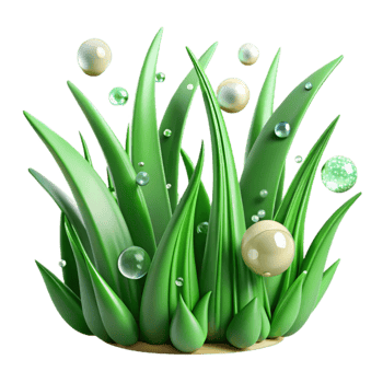 extraordinary contemporary Green Grass Blades Dew Drops Transparent Background exclusive png