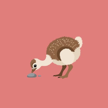 Young brown fluffy emu chick pecking on pink background illustration with natural earthy colors vector