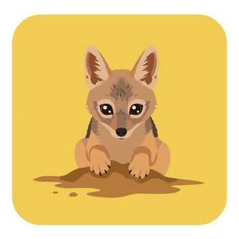 Cute wild jackal resting on dirt mound with alert expression in nature background illustration vector