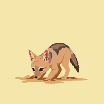 Young fox sniffing on ground in natural beige background wildlife animal illustration vector