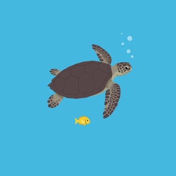 Sea turtle swimming underwater with small yellow fish in blue ocean illustration vector