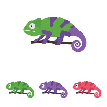 Colorful chameleon lizard illustration with green purple and red variations on white background art vector