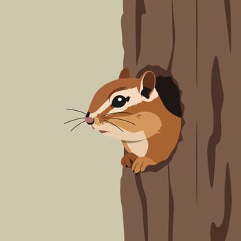 Chipmunk peeking from hollow tree trunk with natural brown and beige tones in square format for wildlife observation and nature study vector