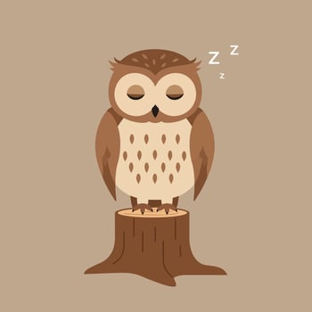 Sleeping brown owl perched on tree stump illustration with zzz signs natural calm animal design vector