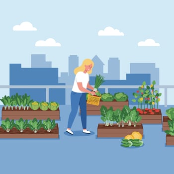 Urban rooftop gardening with woman harvesting fresh vegetables in city environment illustration vector