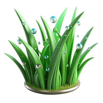magnificent abstract Green Grass Blades Dew Drops Transparent Background png