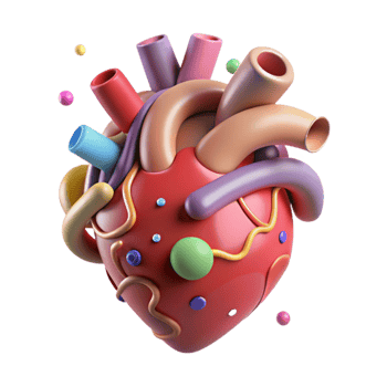 dramatic contemporary Human Heart Anatomy Isolated exclusive png