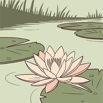 Serene Pink Water Lily Pond Illustration Botanical Art. vector