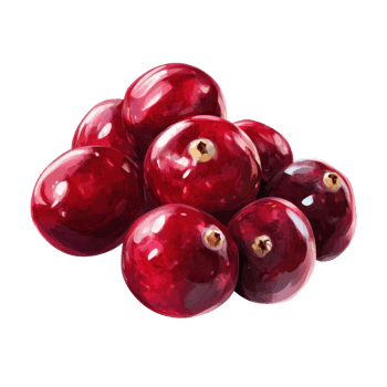 A cluster of vibrant, glossy cranberries. png