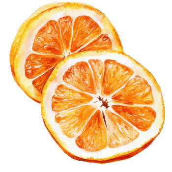 Two vibrant orange slices, a watercolor depiction. png