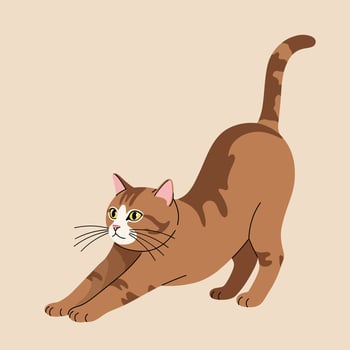 Brown Tabby Cat Stretching Illustration with Yellow Eyes and Pink Ears in Simple Style vector