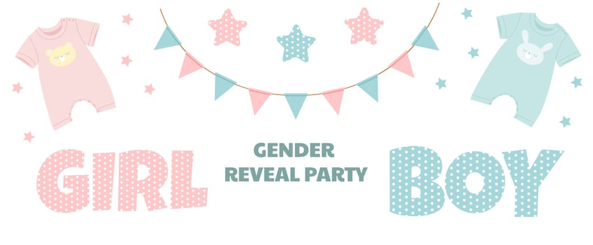 A festive banner at the gender reveal party with cute garlands and baby clothes vector