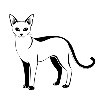 Black outline of Aegean cat standing confidently on plain background png