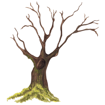 An old tree with a hollow, long branches and green moss on the roots. Garden clipart. Deep forest hollow tree. Hand-drawn watercolor illustration. For postcards, scrapbooking png