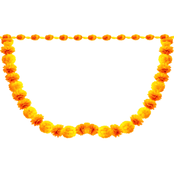 Vibrant Marigold Welcome Arch png