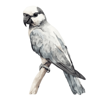Watercolor parrot perched on branch with realistic feathers png