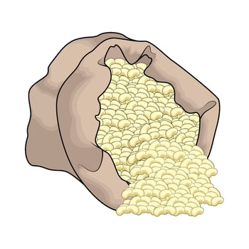illustration of organic white bean in a sack vector