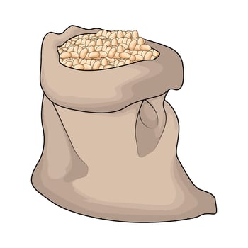 organic soybean in a sack illustration vector