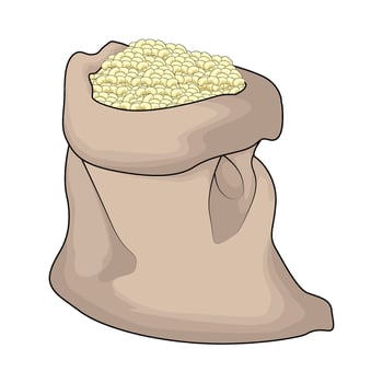 organic white bean in a sack vector